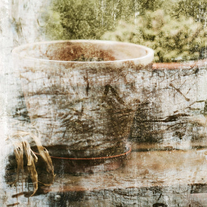 Greenhouse Series IV