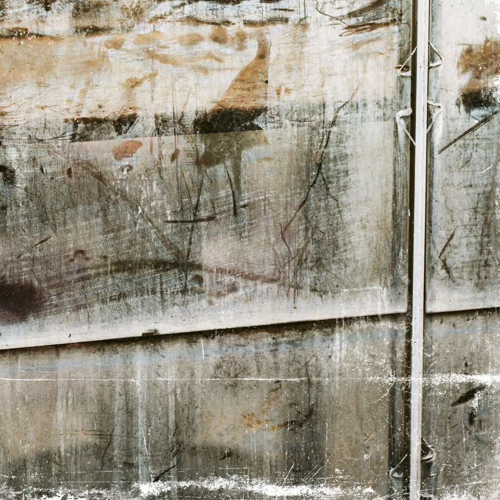 Greenhouse Series IV