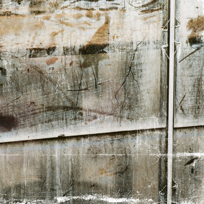 Greenhouse Series IV