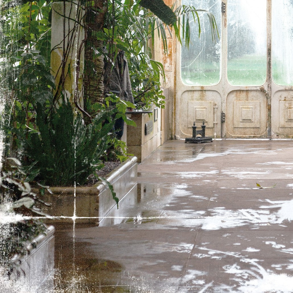 Greenhouse Series IX