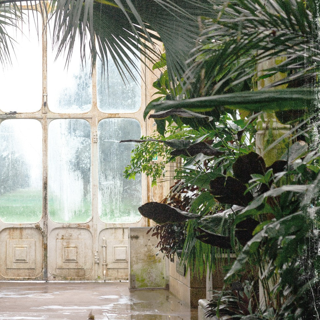 Greenhouse Series IX