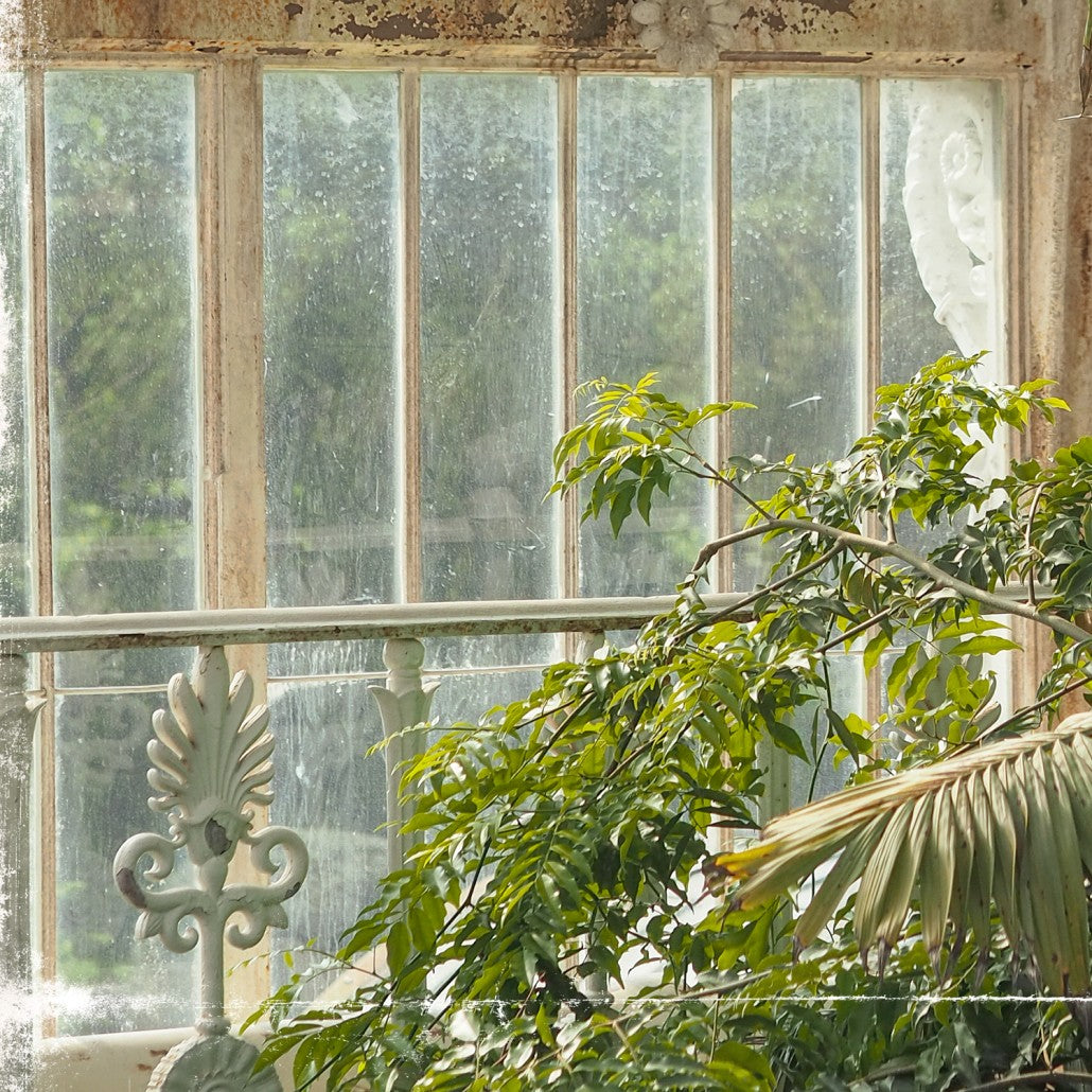 Greenhouse Series VII