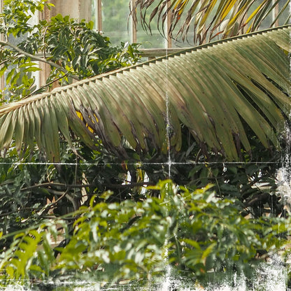 Greenhouse Series VII