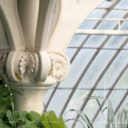 Greenhouse Series VIII