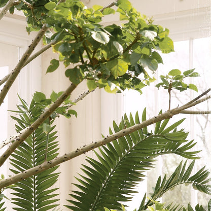 Greenhouse Series XI