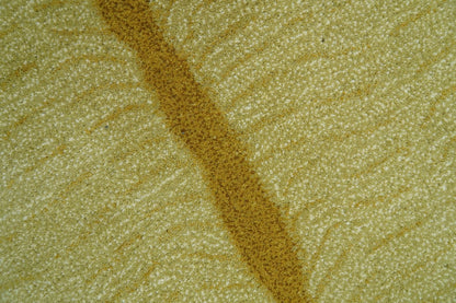 Hand Tufted Animal Lion Black 3x5 Wool Area Rug