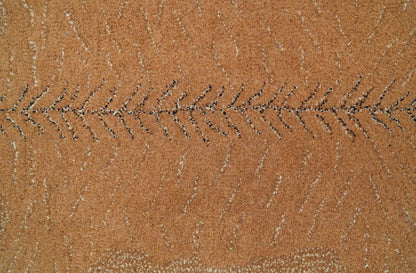 Hand Tufted Animal Lion Brown 2x3 Wool Area Rug.