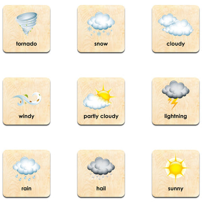MEMORY GAME- Weather