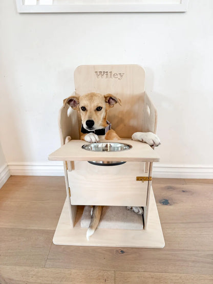 BAILEY- Dog High Chair for Megaesophagus