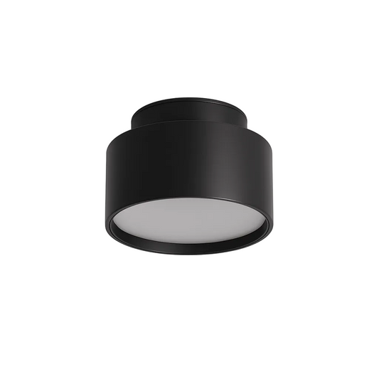Lucinda Ceiling Light.