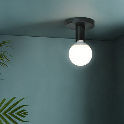 Neliah Ceiling Light.