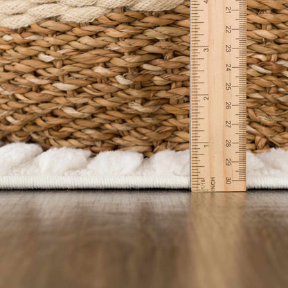 Guiling 3D Rainbow Area Rug with Tassels