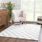 Boutique Rugs Rugs Atira Gray Checkered Area Rug