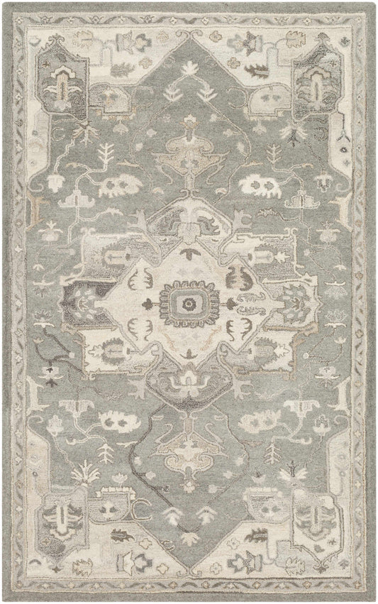 Boutique Rugs Rugs 5' x 8' Rectangle Broomfield Hand Tufted Taupe 1196 Area Rug
