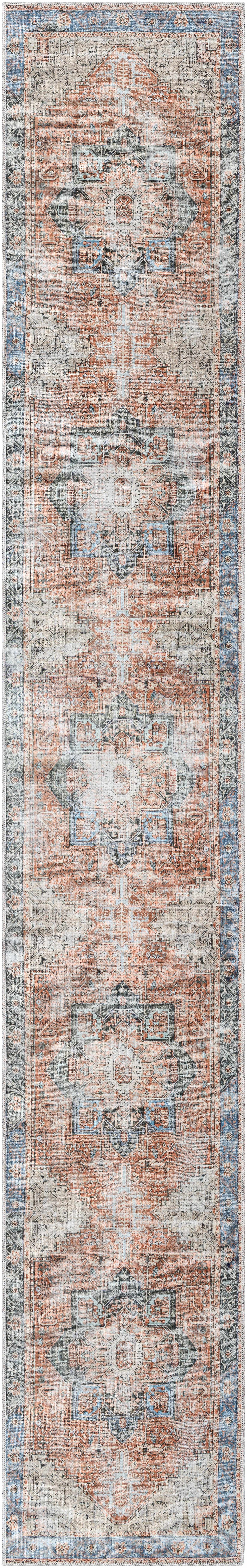 Boutique Rugs Rugs Rosman Distressed Washable Rug