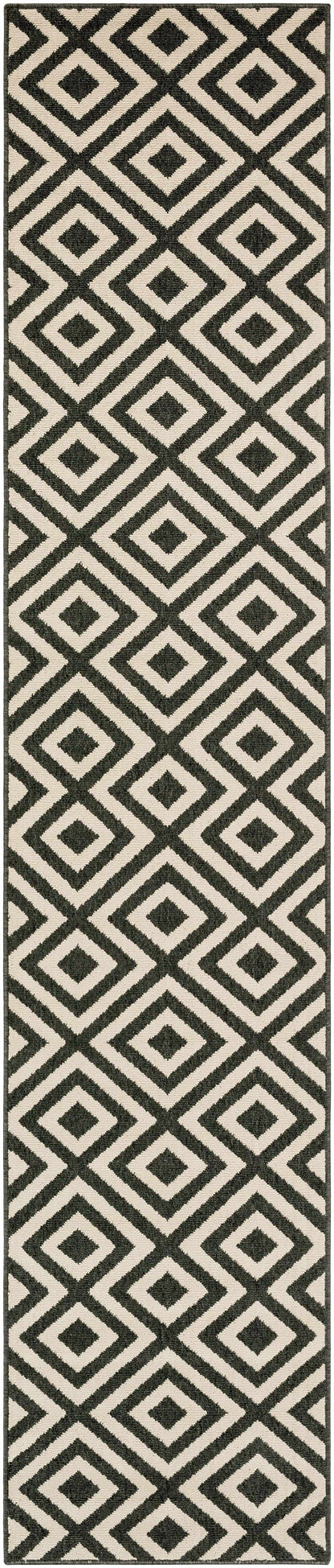 Boutique Rugs Rugs 2'5" x 11'10" Runner Spilsby Outdoor Rug