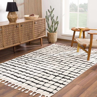 Boutique Rugs Rugs 5'3" x 7' Rectangle Teshi Checkered Area Rug Teshi Checkered Area Rug