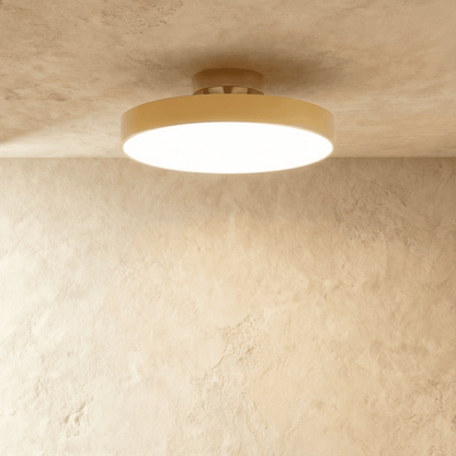 Rupert Ceiling Light.