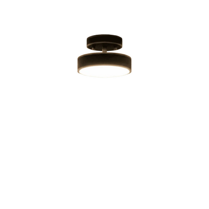 Rupert Ceiling Light.