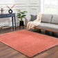 Heavenly Solid Pink Plush Rug.