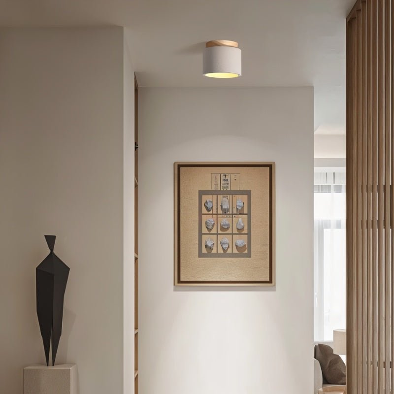 Sasil Downlight.