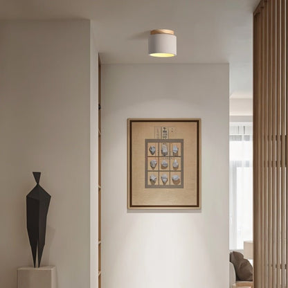 Sasil Downlight.