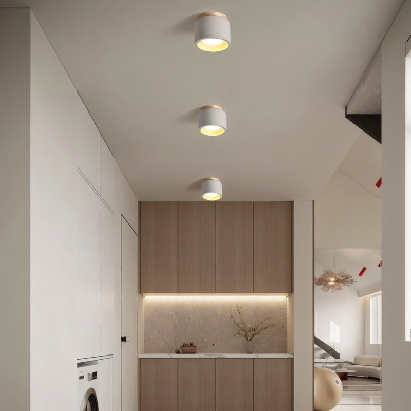 Sasil Downlight.