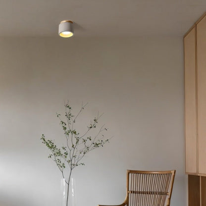 Sasil Downlight.