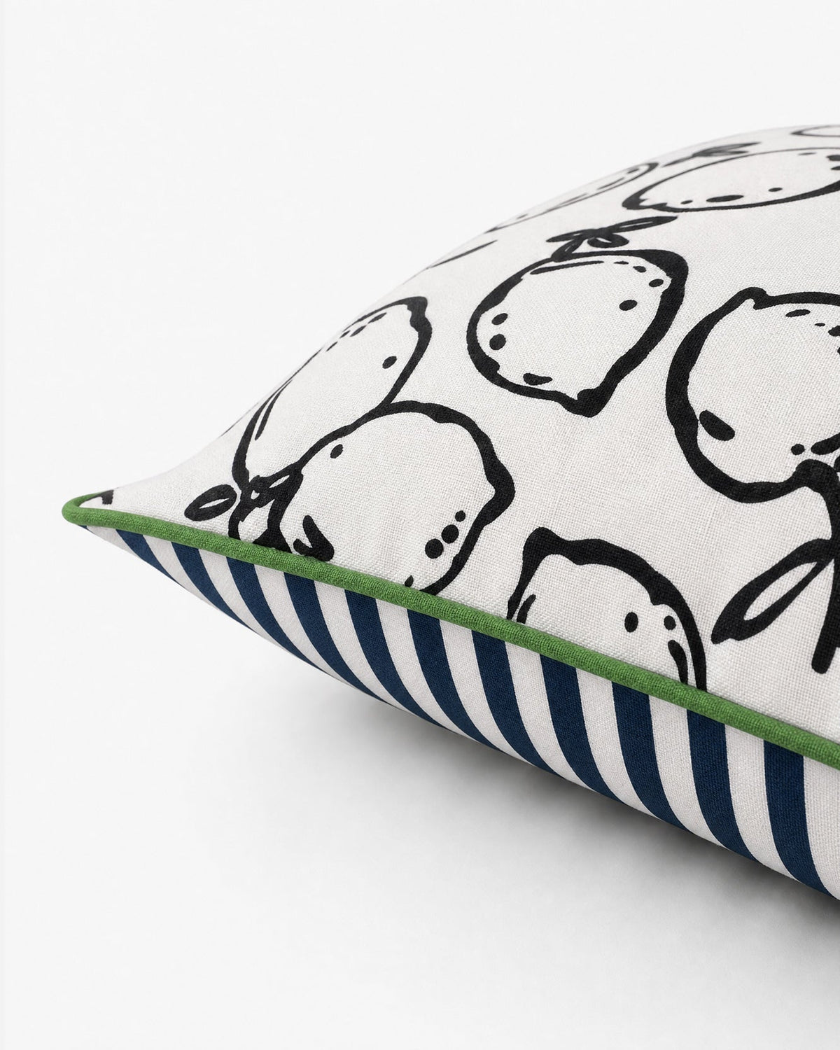 Lemone Outdoor Throw Pillow.