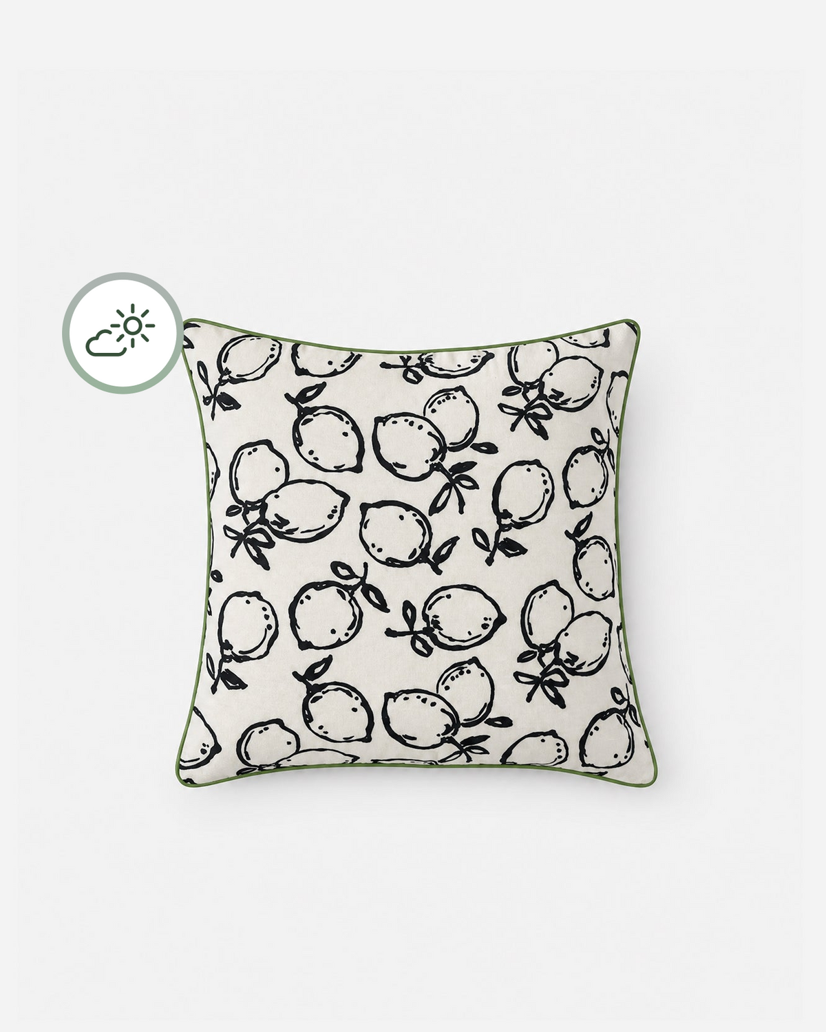 Lemone Outdoor Throw Pillow.
