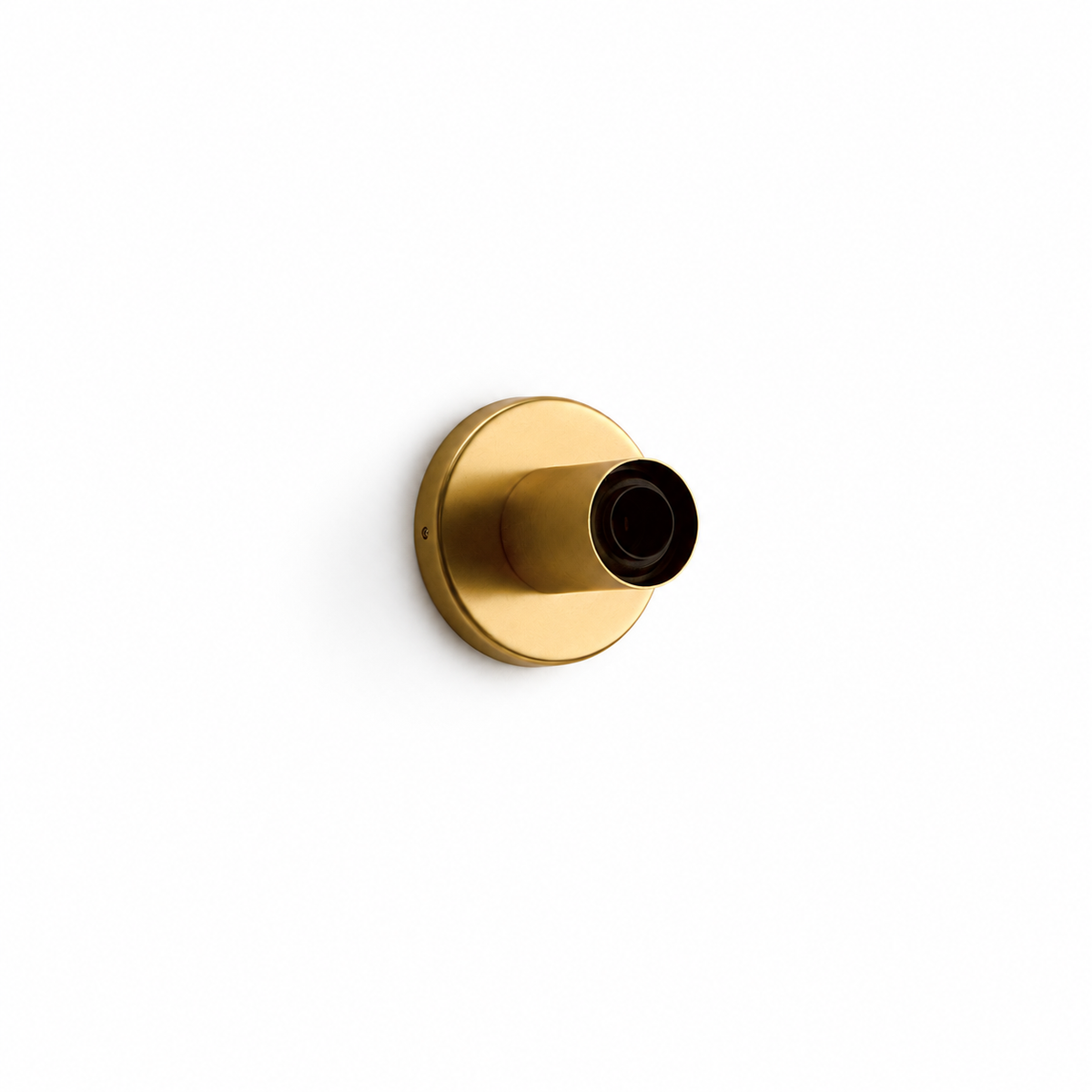 Lochan Wall Light in Brass on white background