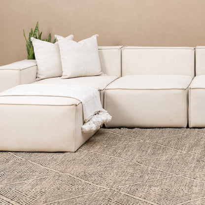 Benisouk taznakht rug Aya - taznakht kilim rug Aya - taznakht kilim rug