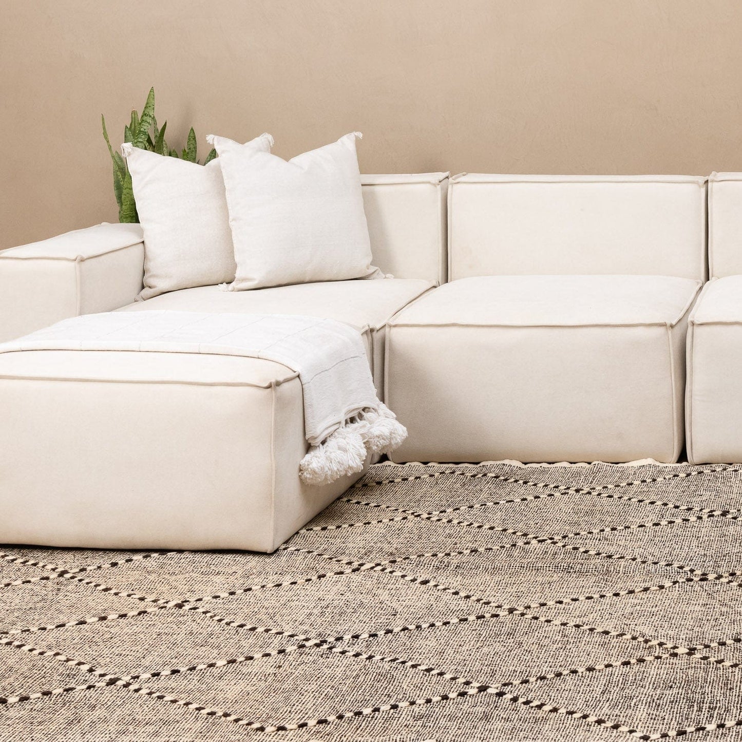 Benisouk taznakht rug Faraoula - taznakht kilim rug Faraoula - taznakht kilim rug