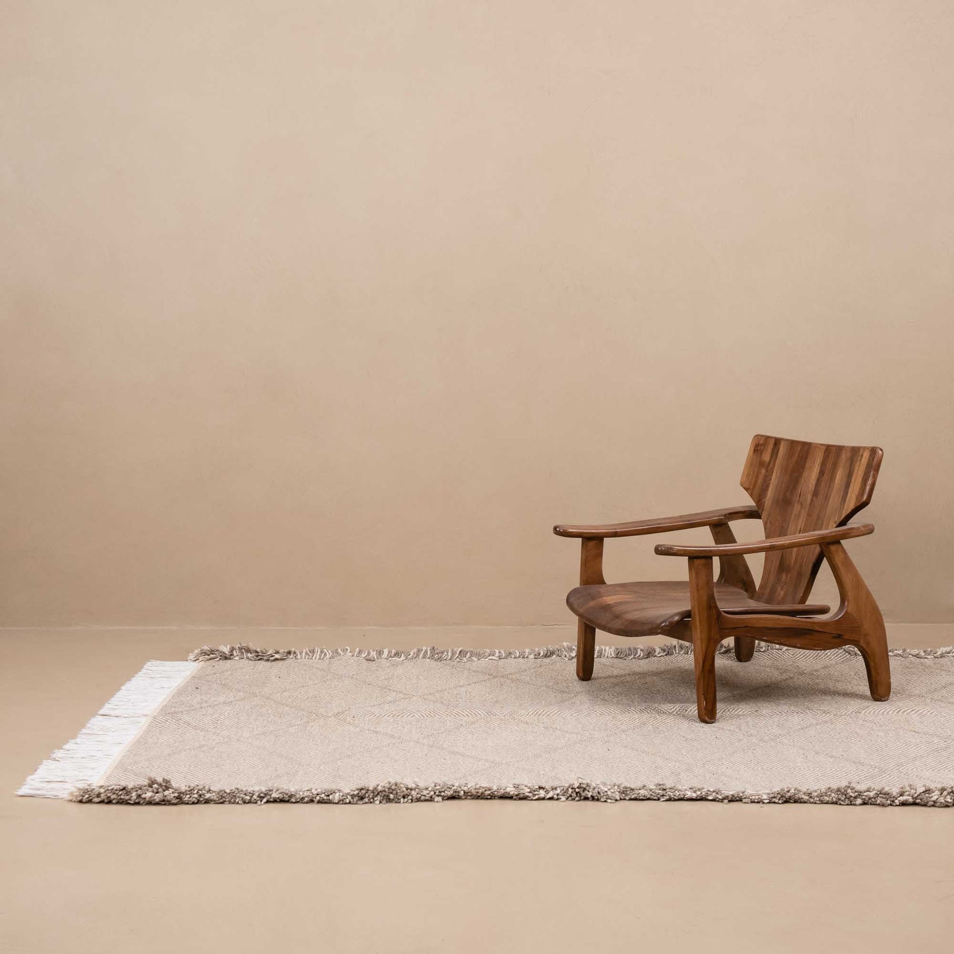 Benisouk taznakht rug Farhat - taznakht kilim rug Farhat - taznakht kilim rug