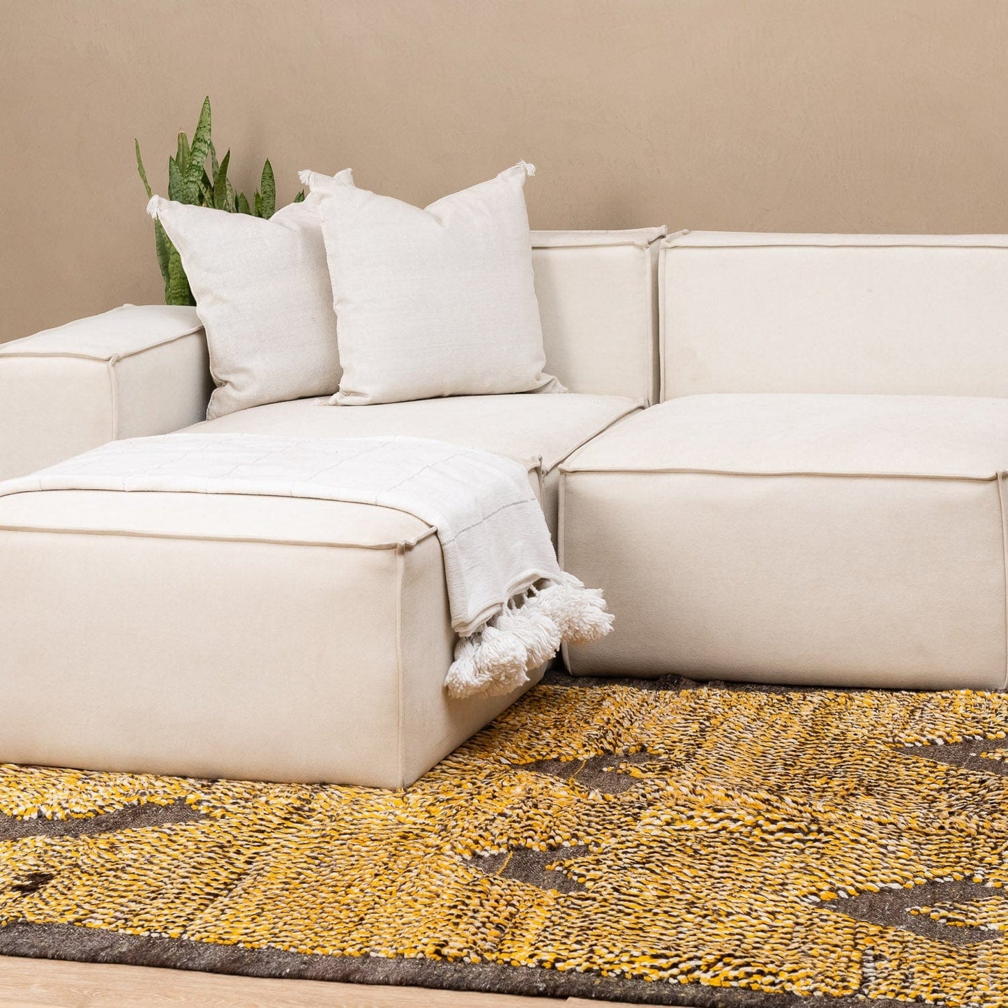 Benisouk taznakht rug Rubaa - taznakht kilim rug Rubaa - taznakht kilim rug