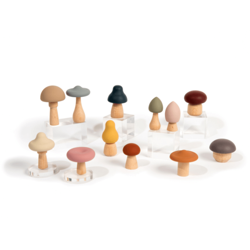 bug + bean kids toys Wood + Silicone Mushroom Sorting Set