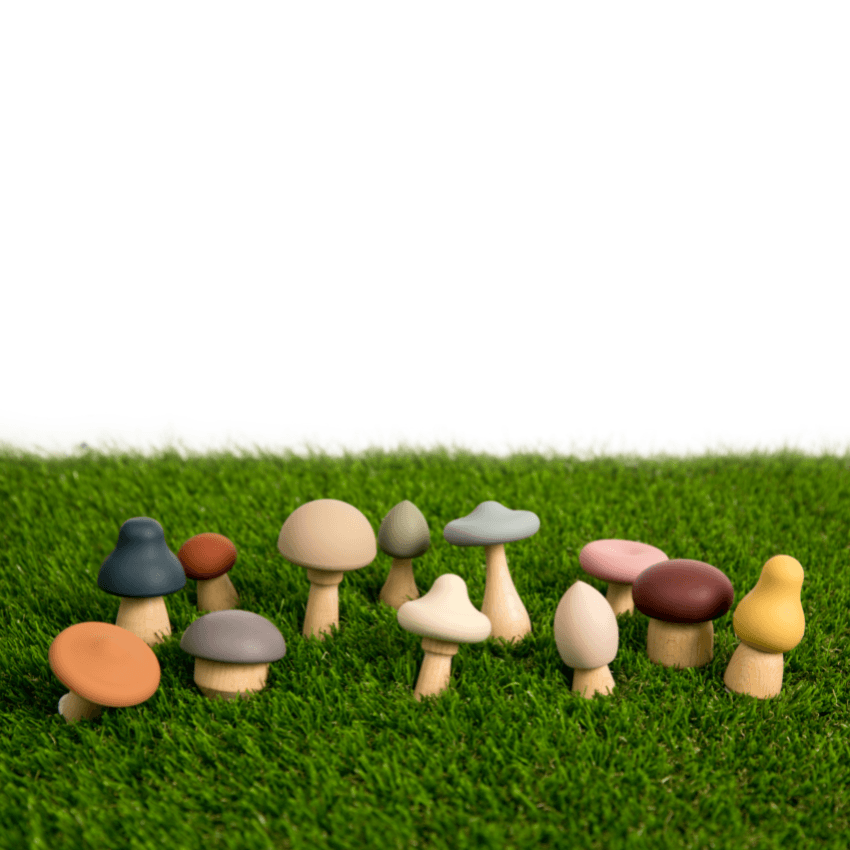 bug + bean kids toys Wood + Silicone Mushroom Sorting Set