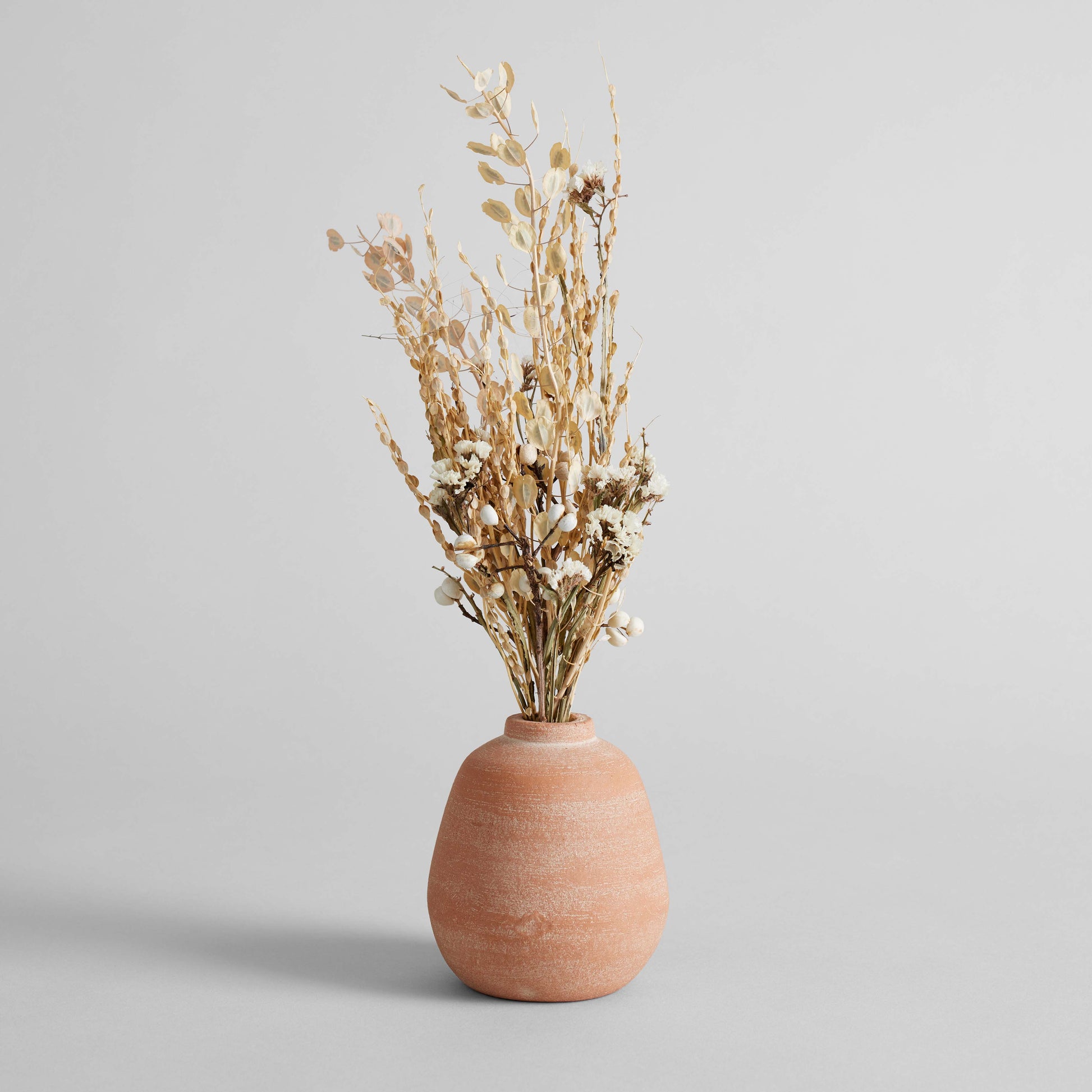 Bloomist Vases Short Terra Cotta Bud Vase, Whitewash
