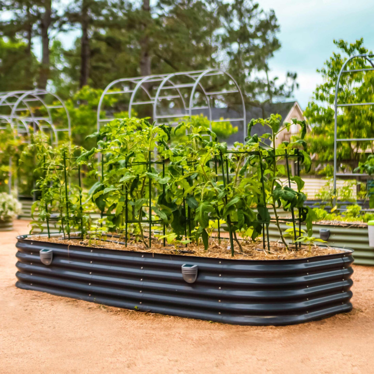 17" Tall 10 In 1 Jumbo Modular Metal Raised Garden Bed Kit.