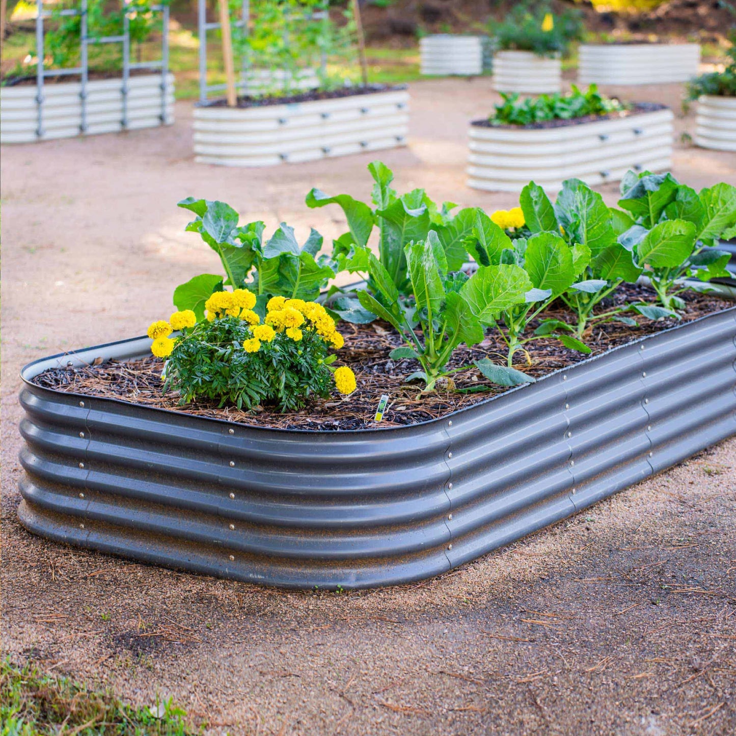 17" Tall 10 In 1 Jumbo Modular Metal Raised Garden Bed Kit.