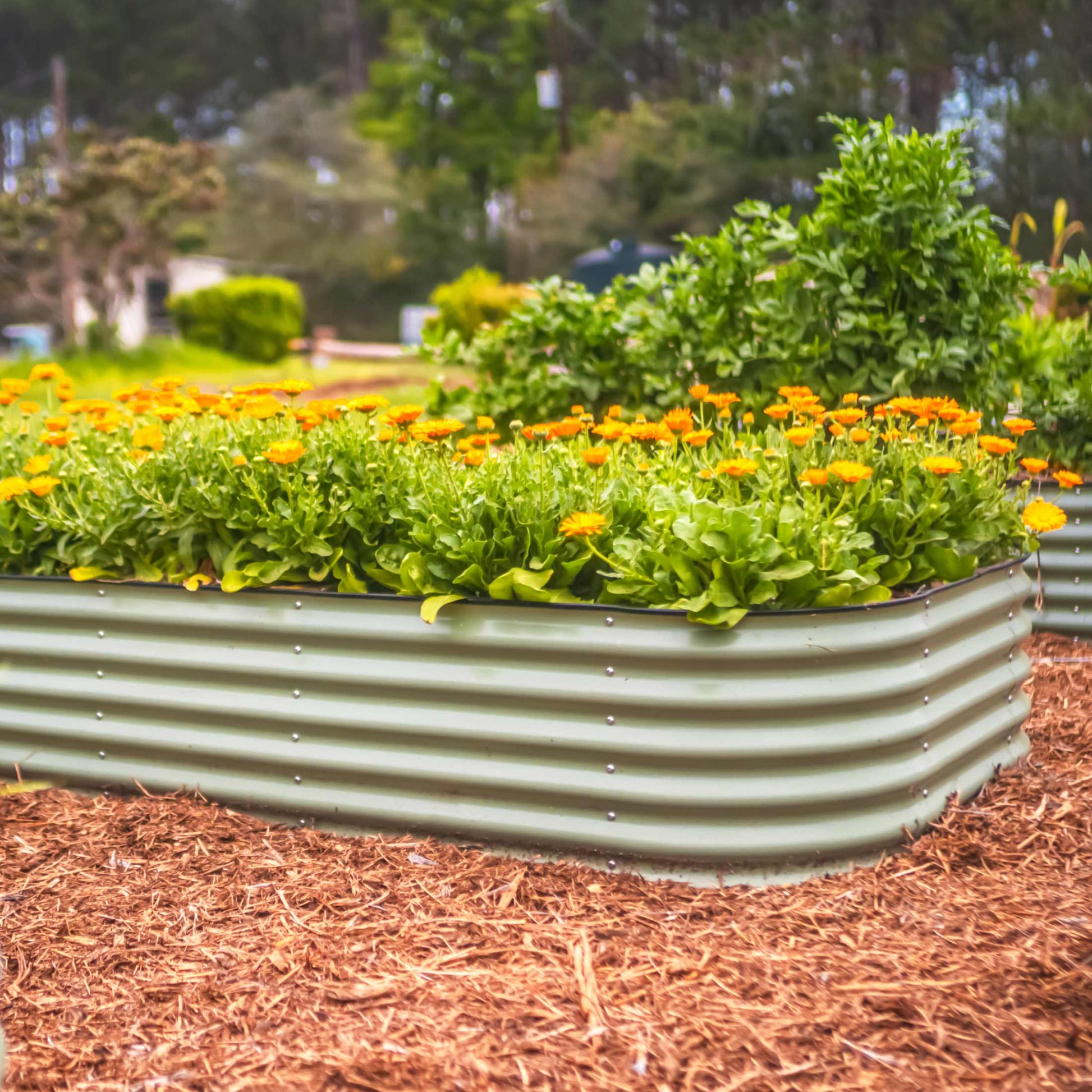 17" Tall 10 In 1 Jumbo Modular Metal Raised Garden Bed Kit.