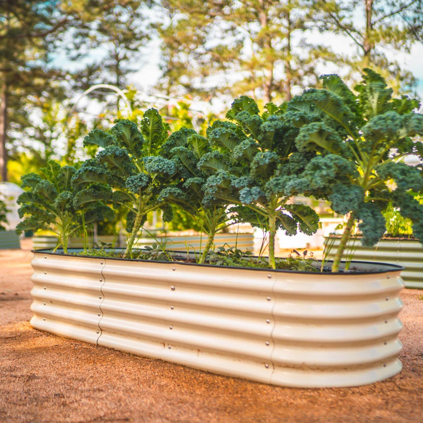 17" Tall 6 In 1 Medium Modular Metal Raised Garden Bed Kit.