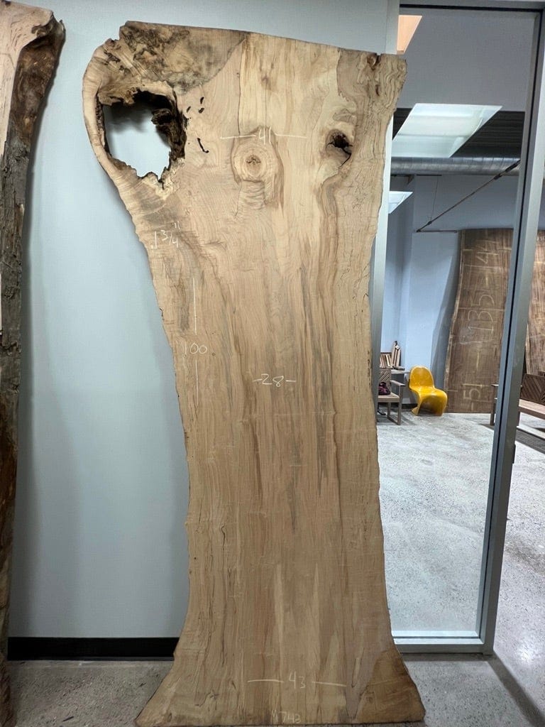 The Carpentry Shop Co., LLC 100" Spalted Sugar Maple
