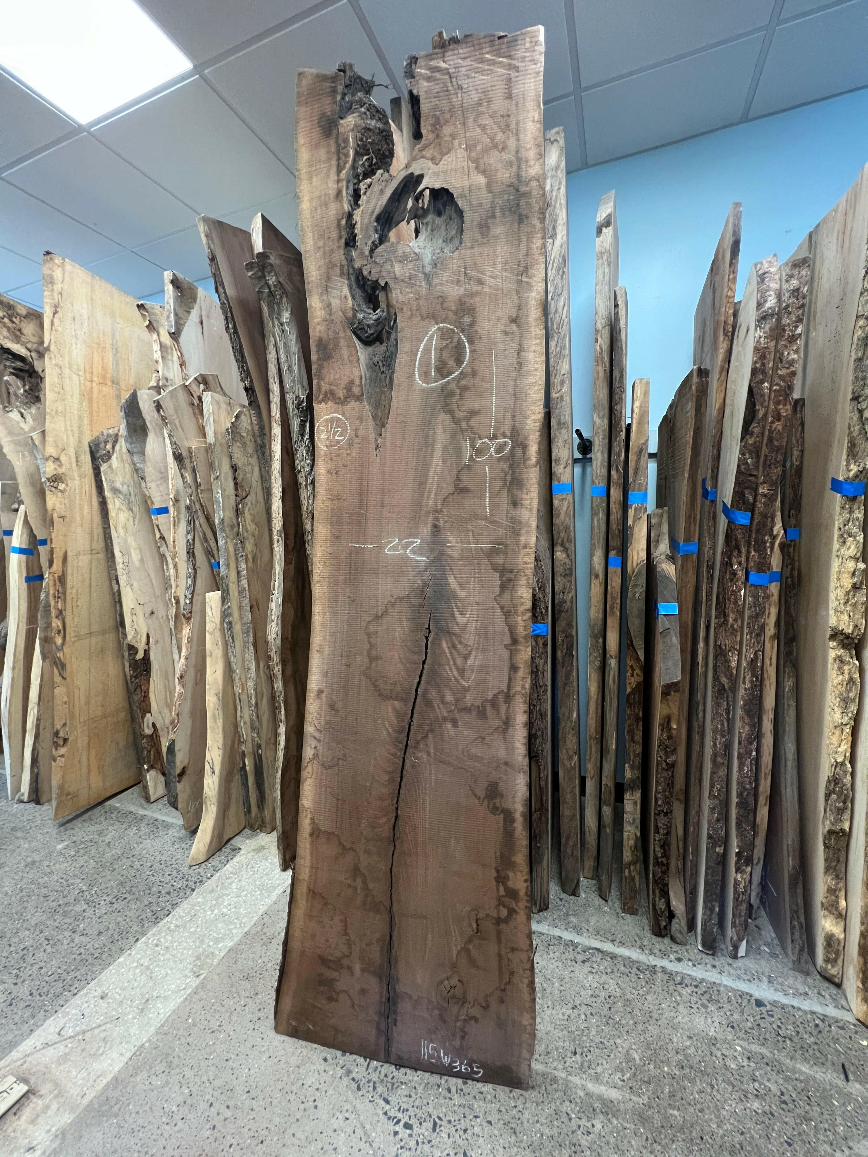 Live Edge Wood Slab Art