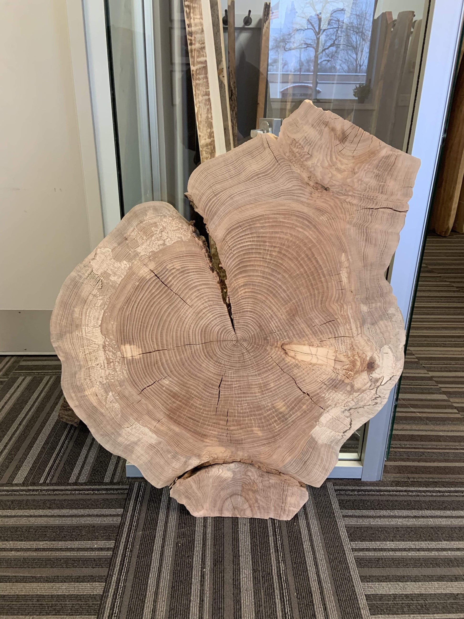 The Carpenty Shop Co., LLC 41" Spalted Maple Cookie Slab