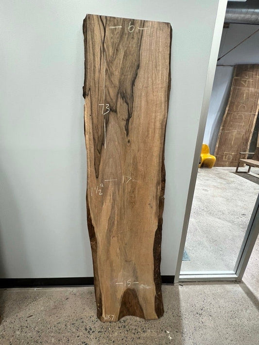 The Carpentry Shop Co., LLC 73" Spalted Sugar Maple