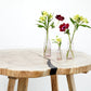 The Carpentry Shop Co. Crosscut Slab Round Dining Table